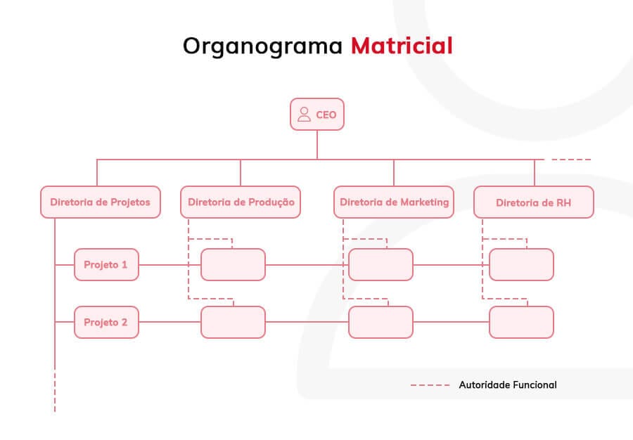 Organograma Matricial Organograma Matricial