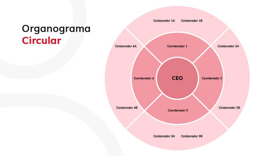 Organograma Circular Organograma Circular