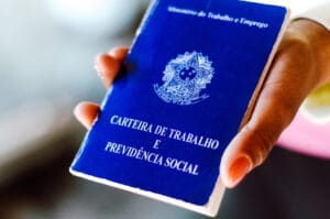 o que é pis?